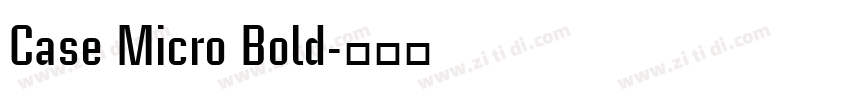 Case Micro Bold字体转换